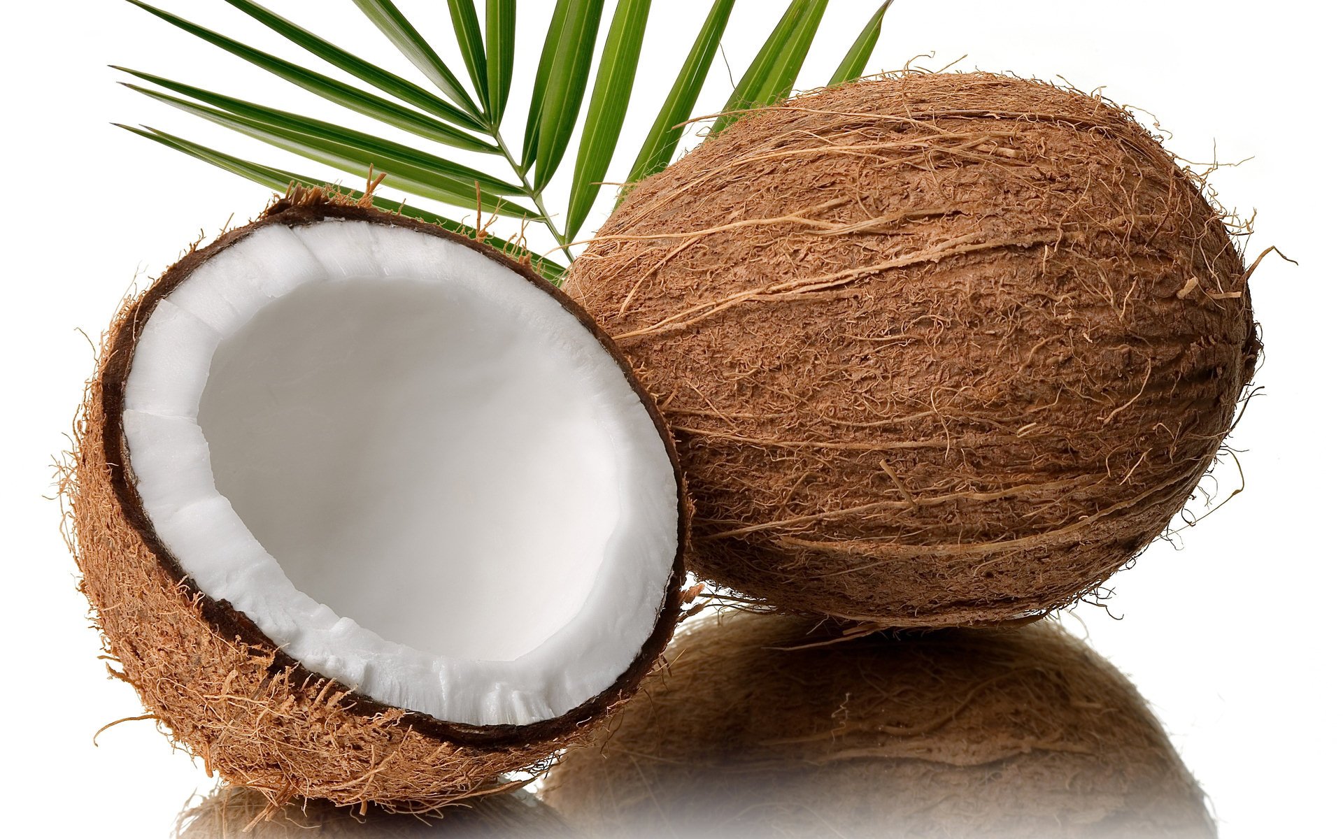Coconut.jpg